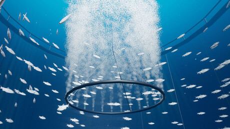 Aeração Sea Pen para proteger seus peixes.