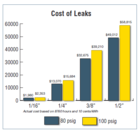 placeholder - cost of leaks graph