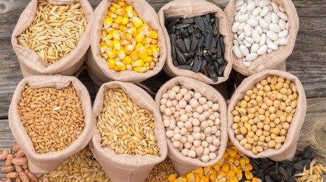 uso de sopradores para transporte pneumático de grãos e outros materiais a granel